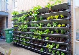 Vertical Garden